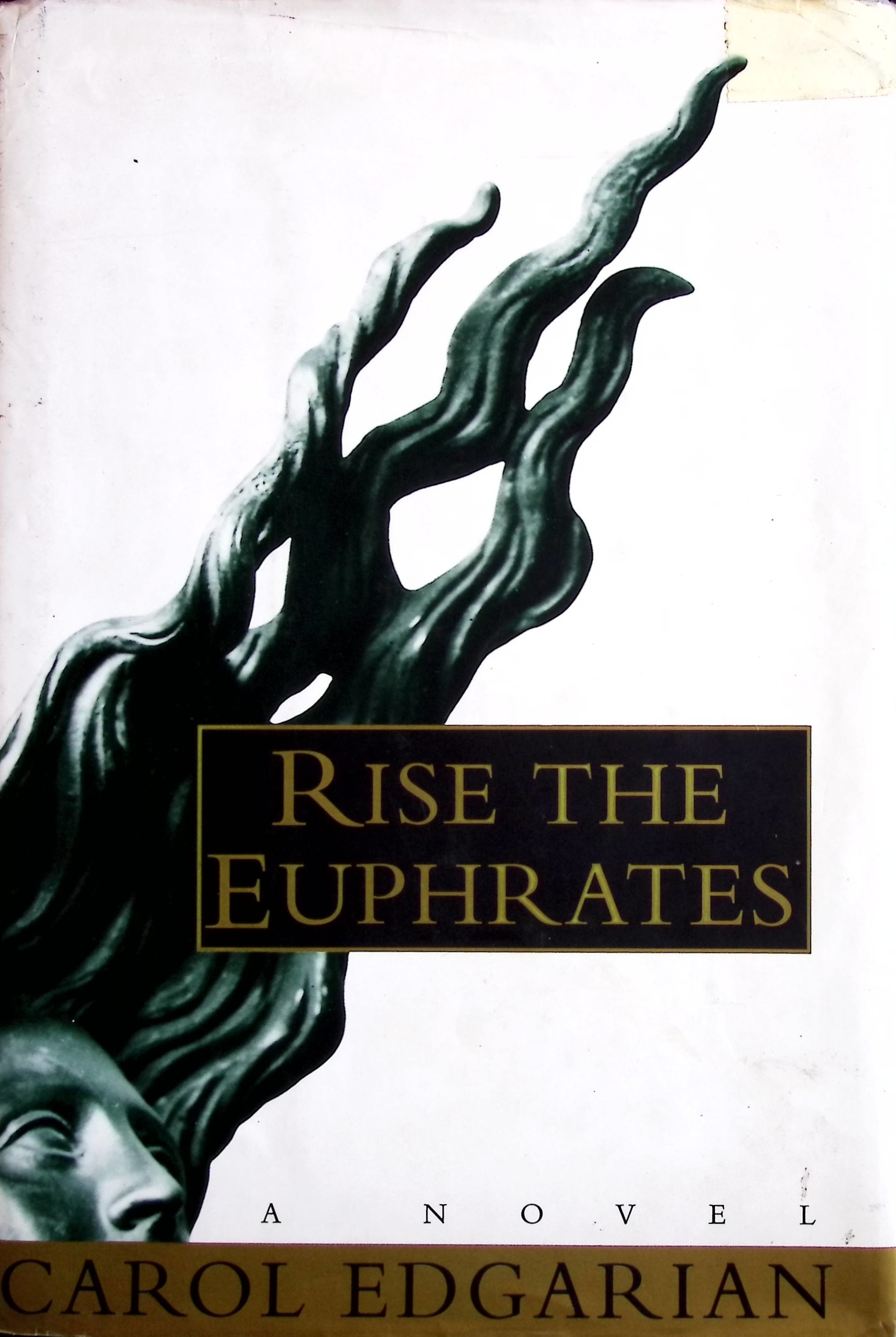book-image